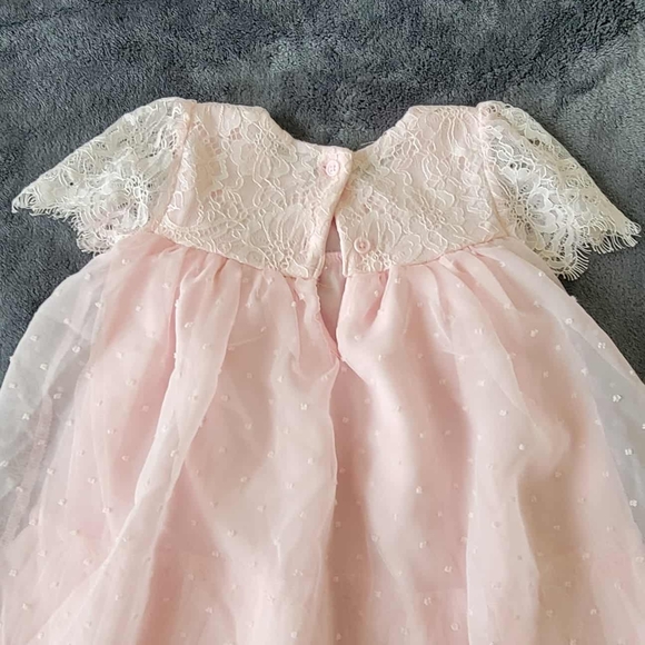 Nanette Baby Pink and White Lace Dress - Picture 7 of 7